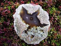 Lucky Strike Thunderegg